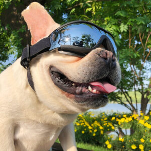 Dog Windproof Sunglasses